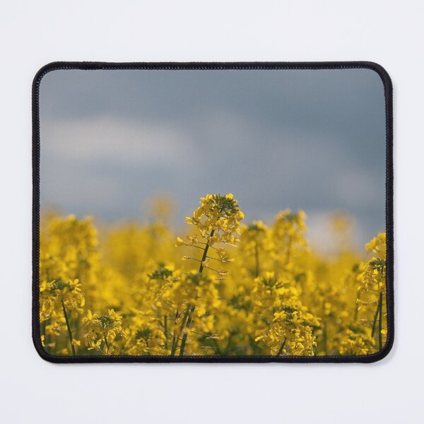 Item preview, Canola designed and sold by SusanAdey.