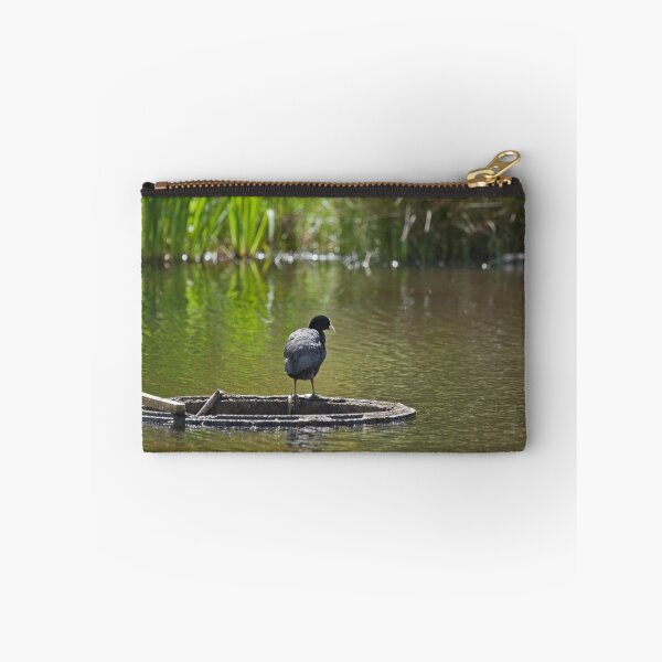 Item preview, Coot designed and sold by Sue Robinson.