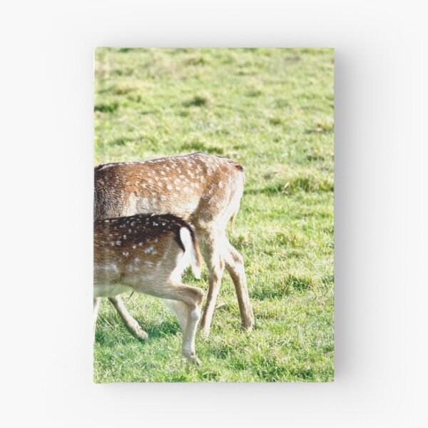 Item preview, Fallow deer / Daniel (Dama dama)  ♀   ♂ designed and sold by MarekM.