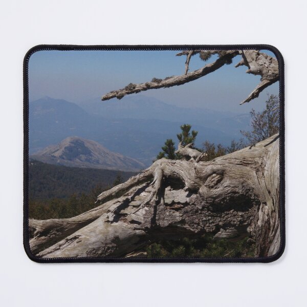 Item preview, Pina Loricata In Pollino designed and sold by Malcolm Snook.