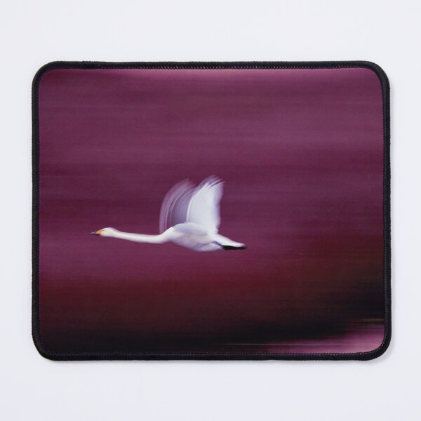 Item preview, Burgundy colors. Whooper swan designed and sold by Jouko Lehto Photography.