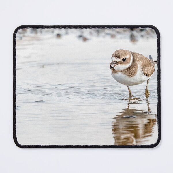 Item preview, Common ringed plover  designed and sold by Gbenonys Art.