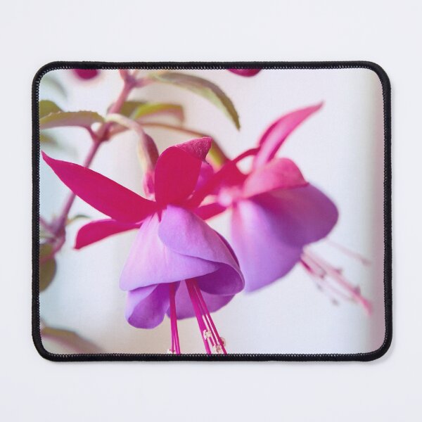 Item preview, Pink Fuchsia Flower designed and sold by Gbenonys Art.