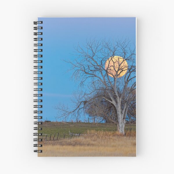 Item preview, Mega Beaver Moon  designed and sold by Bo Insogna.