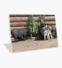 On diet Laptop Skin
