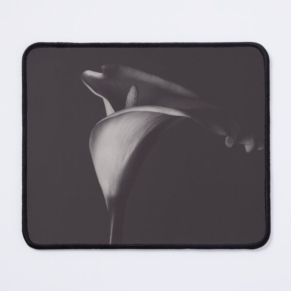 Item preview, Calla lily photos, flowers fine art photography, flower still life, wall decor, Robert Mapplethorpe style designed and sold by Spallutos.