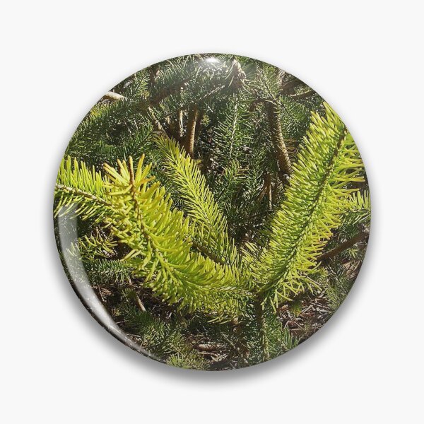 Item preview, Calothamnus designed and sold by lezvee.