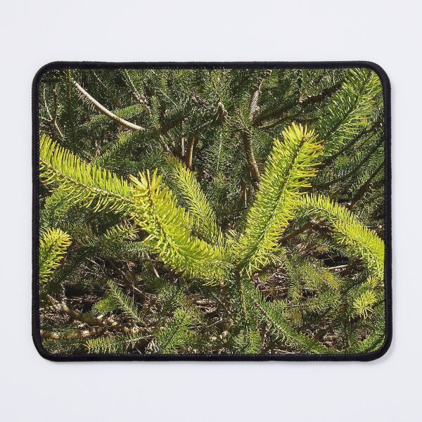 Item preview, Calothamnus designed and sold by lezvee.