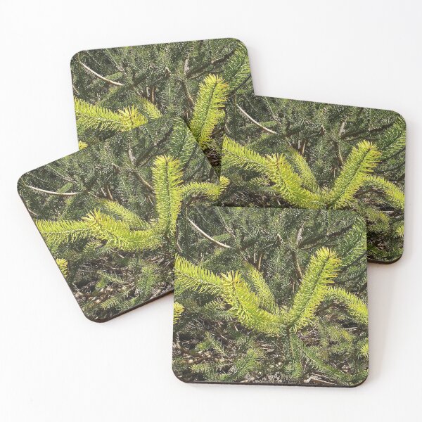 Item preview, Calothamnus designed and sold by lezvee.