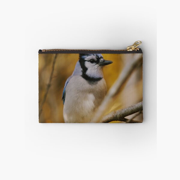 Artikelvorschau, Blue Jay - Up close entworfen und verkauft von Josef Pittner.