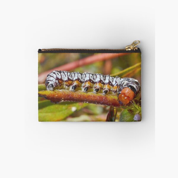Item preview, Dew On A Caterpillar designed and sold by Kathy Baccari.