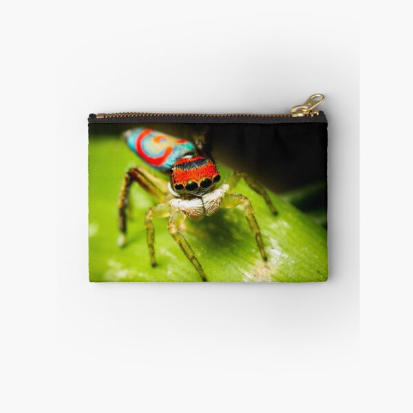 Item preview, Juvenile Peacock Jumping Spider #2 designed and sold by Kerrod Sulter.