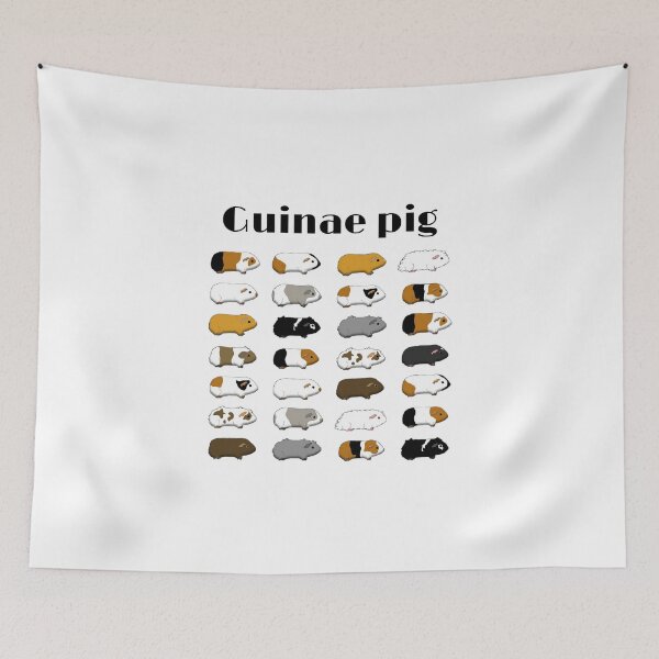 Item preview, guinaepig - guinae pig designed and sold by Popzeyy.