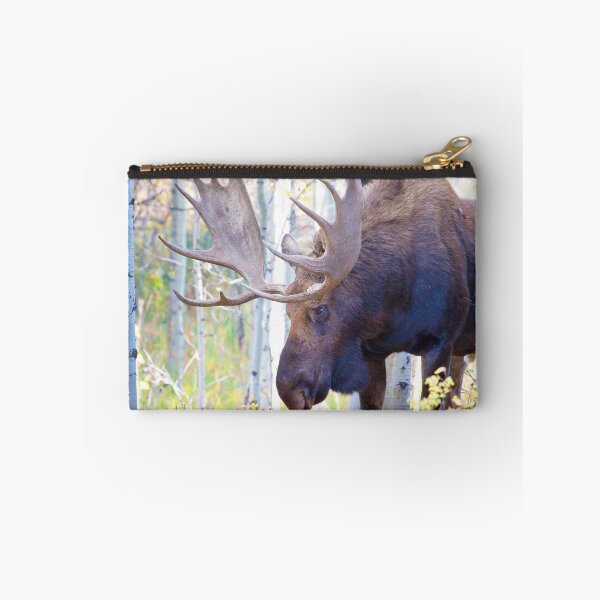 Item preview, Este alce estaba defendiendo su territorio y sus vacas de un toro igualmente impresionante. Cerraron bastidores designed and sold by A.M. Ruttle.
