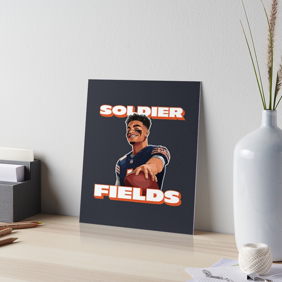 Chicago Bears Wall Art - Soldier Field