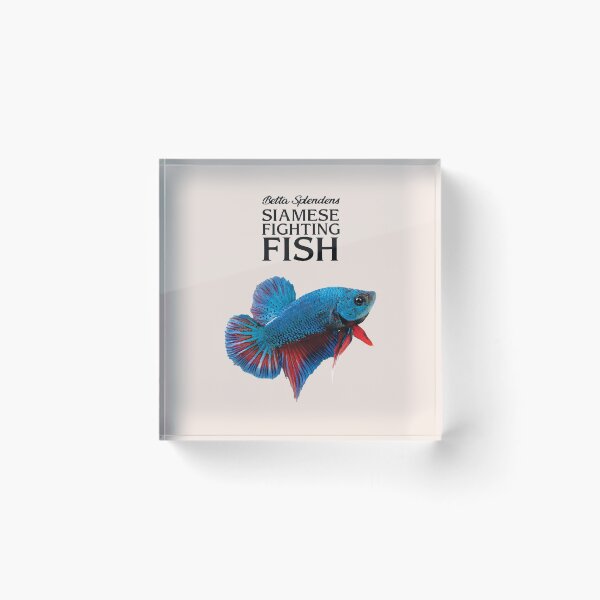 Item preview, Betta Splendens designed and sold by KewaleeTee.