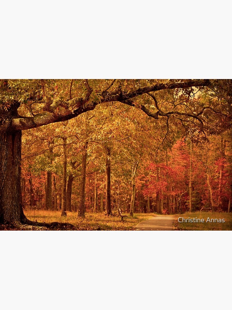 Amber Afternoon by 2Bricks