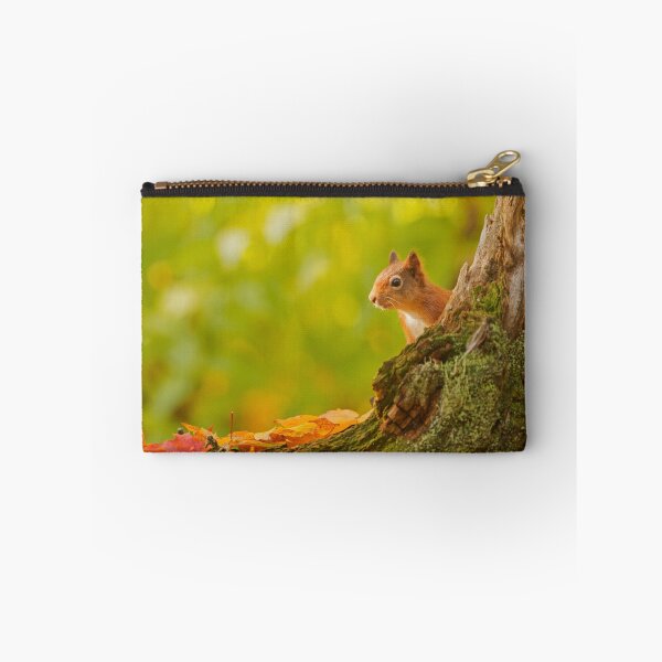 Artikelvorschau, Red Squirrel Peek-a-boo entworfen und verkauft von kernuak.