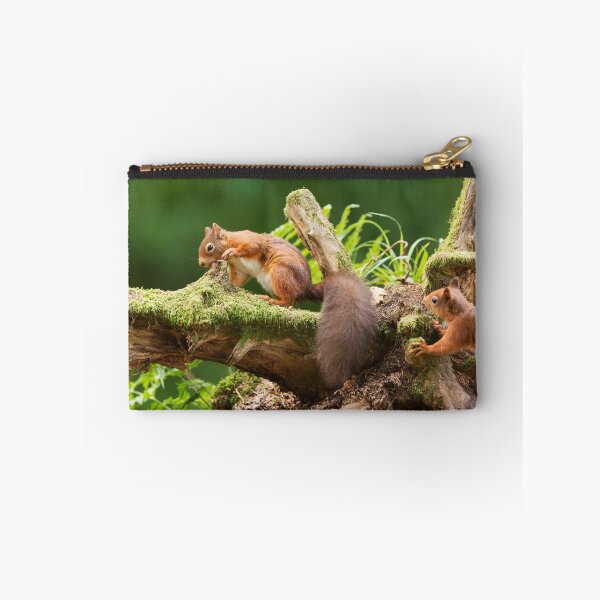 Artikelvorschau, Red Squirrel Ambush entworfen und verkauft von kernuak.