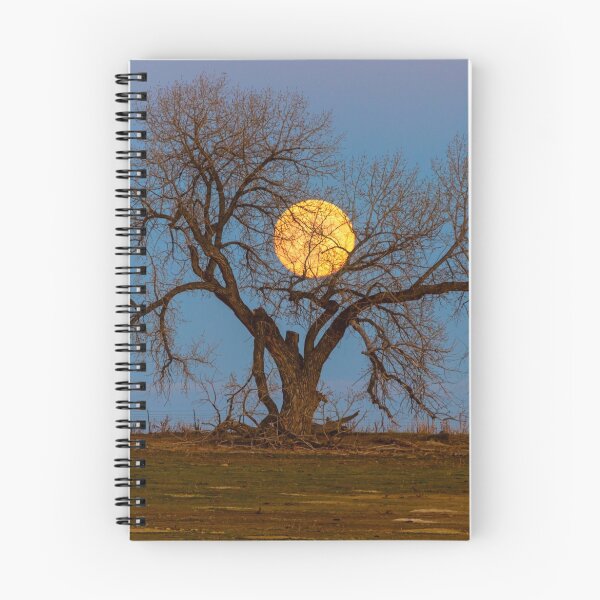 Item preview, November Supermoon Tree designed and sold by Bo Insogna.