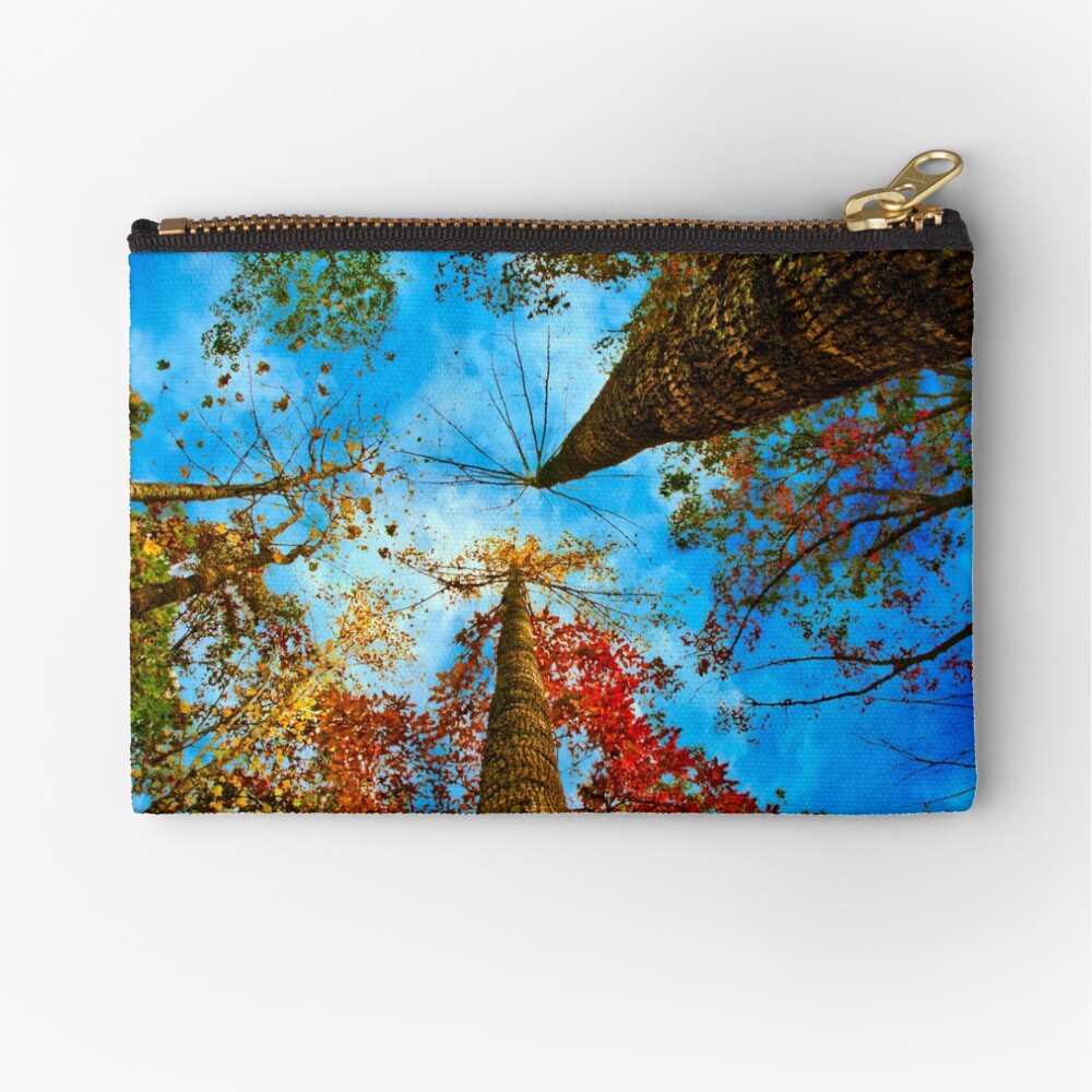 Up! Zipper Pouch