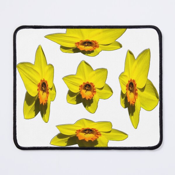 Item preview, Daffodils designed and sold by Focal-Art.