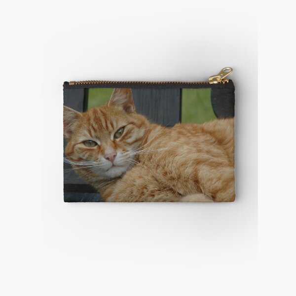 Item preview, "I won't sign a model release!" designed and sold by johnmorris.