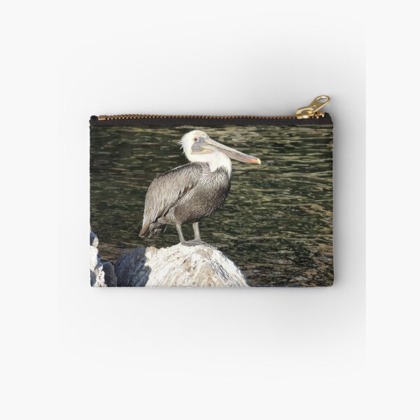 Item preview, Pelican Close Up designed and sold by Sandra Gray.