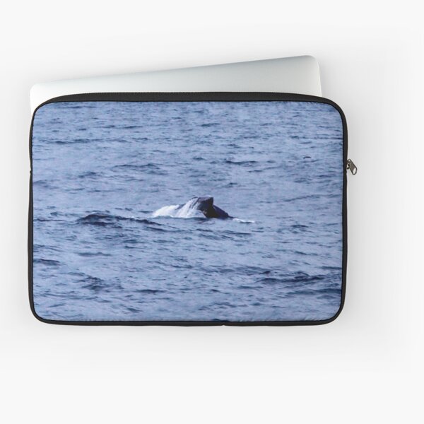 Artikel-Vorschau von whale fluke III, designt und verkauft von geophotographic.