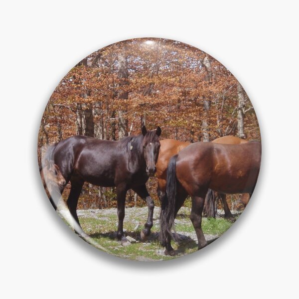 Item preview, Horses Roaming Free designed and sold by Malcolm Snook.