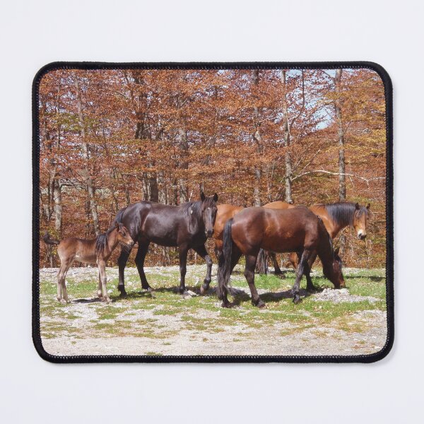 Item preview, Horses Roaming Free designed and sold by Malcolm Snook.