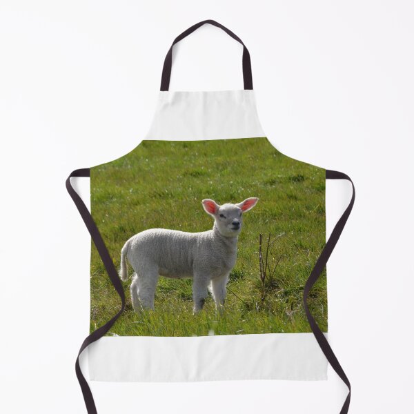 Item preview, Spring Lamb designed and sold by Malcolm Snook.