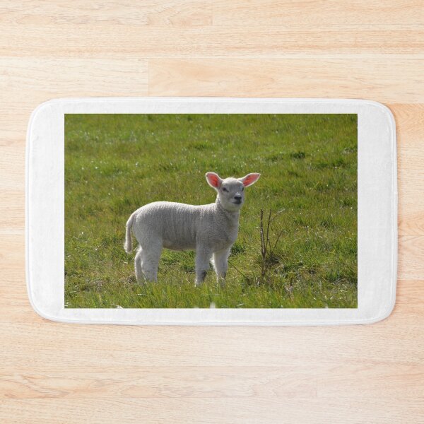 Item preview, Spring Lamb designed and sold by Malcolm Snook.