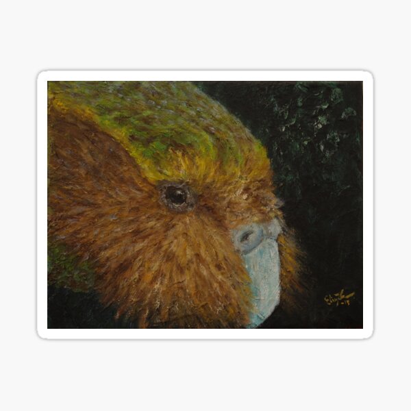 Kakapo (Strigops habroptilus) Sticker