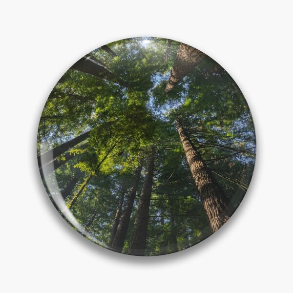 Item preview, Californian Redwood Forest designed and sold by Ross Jardine.