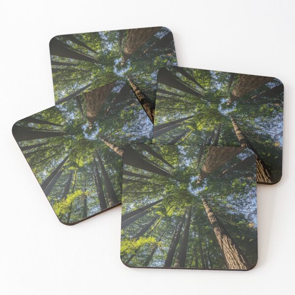 Item preview, Californian Redwood Forest designed and sold by Ross Jardine.