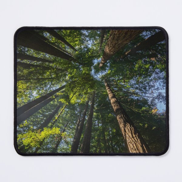 Item preview, Californian Redwood Forest designed and sold by Ross Jardine.