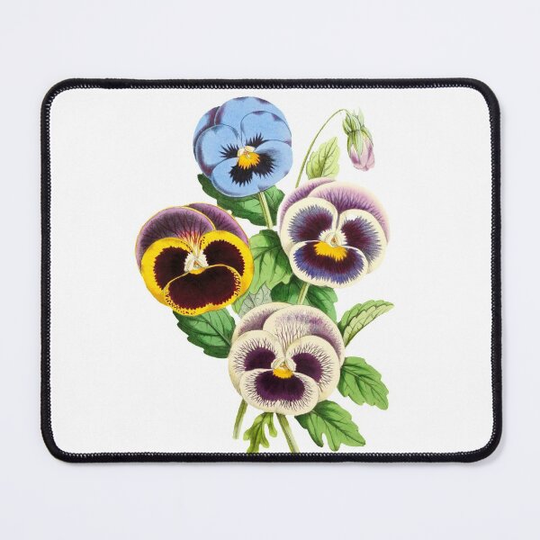 Item preview, Pansies designed and sold by Focal-Art.