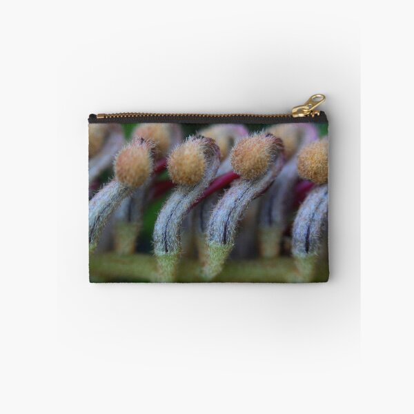 Item preview, Grevillea caleyi designed and sold by andrachne.