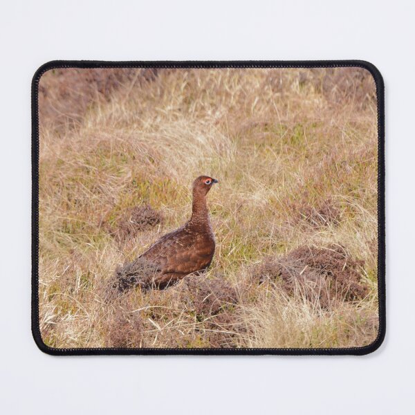 Item preview, Red Grouse designed and sold by Malcolm Snook.