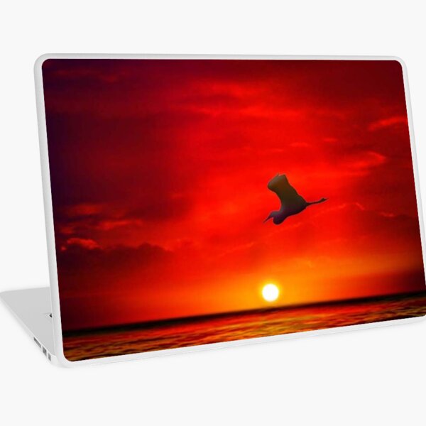 Sunset 11 Laptop Skin