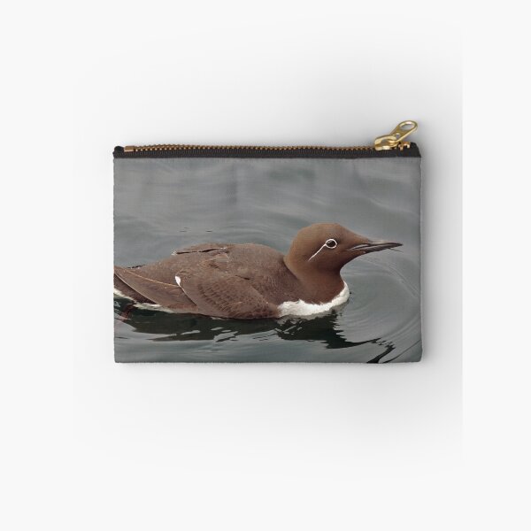 Aperçu de l'œuvre Bridled Guillemot, Lerwick, Shetland créée et vendue par Richard Ion.