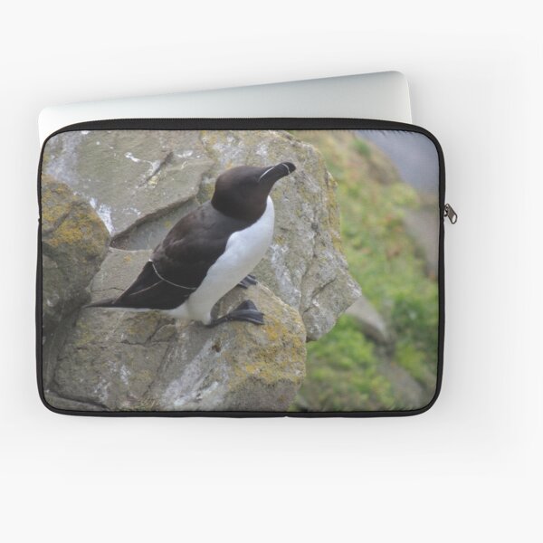 Razorbill, Sumburgh Head, Shetland Laptop Sleeve