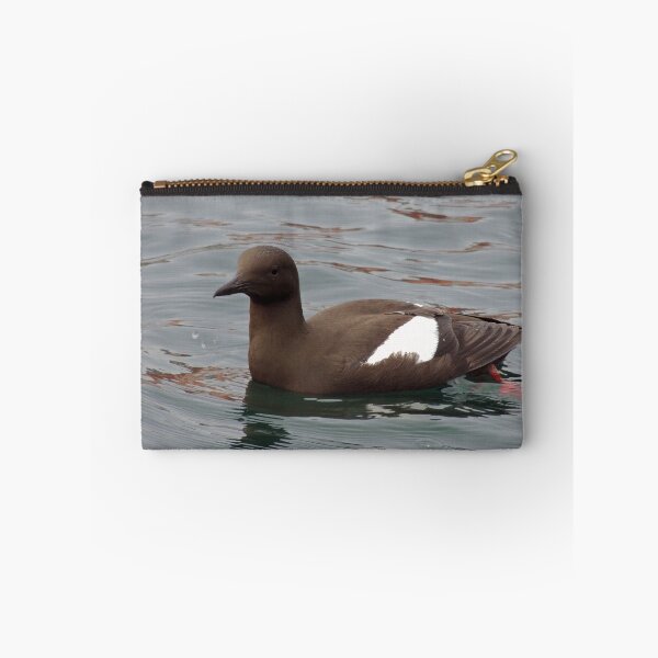 Item preview, Black Guillemot, Lerwick, Shetland designed and sold by Richard Ion.