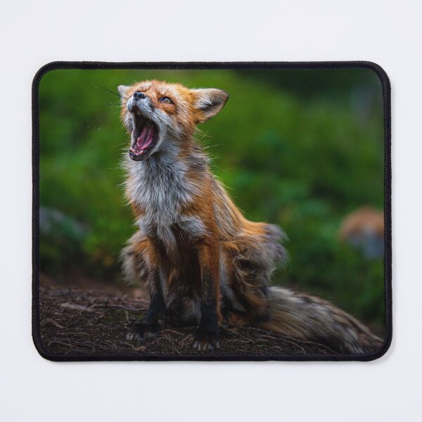 Item preview, Talking Fox designed and sold by reinah.