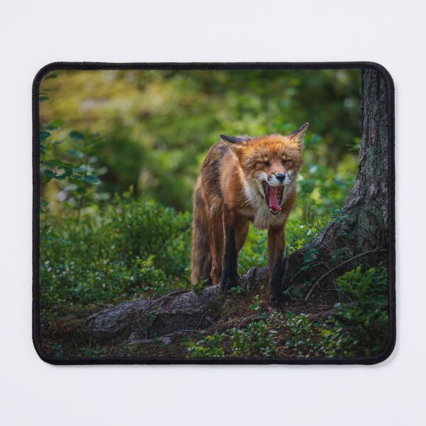 Item preview, Sleepy Fox Yawning designed and sold by reinah.