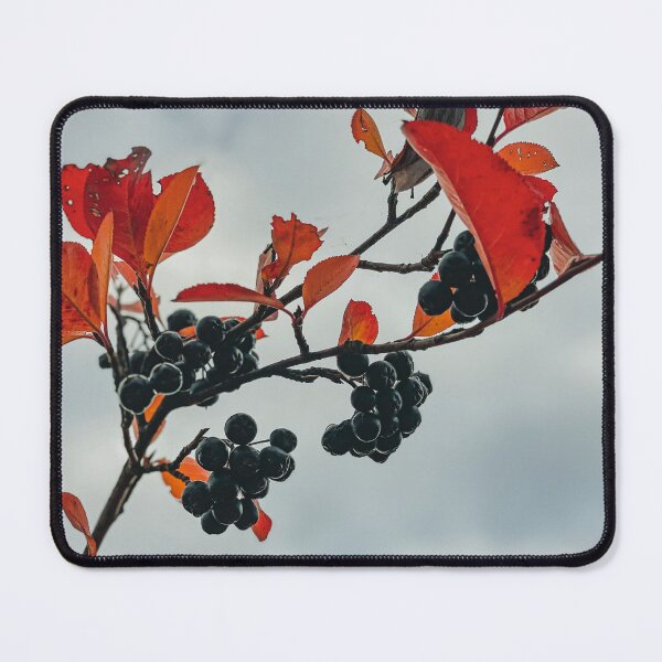 Item preview, Fall berries designed and sold by reinah.