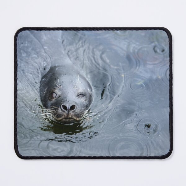Item preview, Seal Winking designed and sold by reinah.