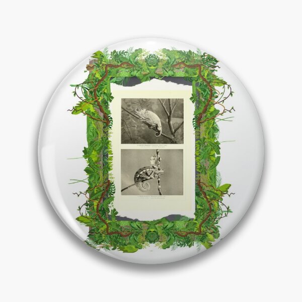 Item preview, Zoological board "Chameleons". designed and sold by AdvanceDesign.