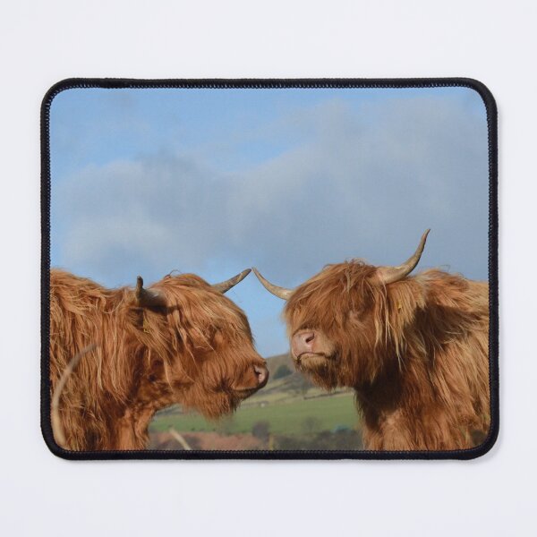 Item preview, Scottish Highland Cattle designed and sold by Malcolm Snook.